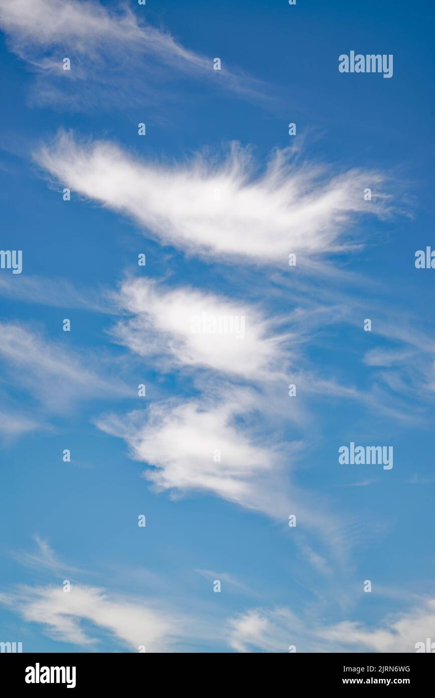 Zufällige abstrakte unregelmäßige Formen, die von wispy weißen Wolken in großer Höhe gegen einen tiefblauen Himmel gebildet werden Stockfoto