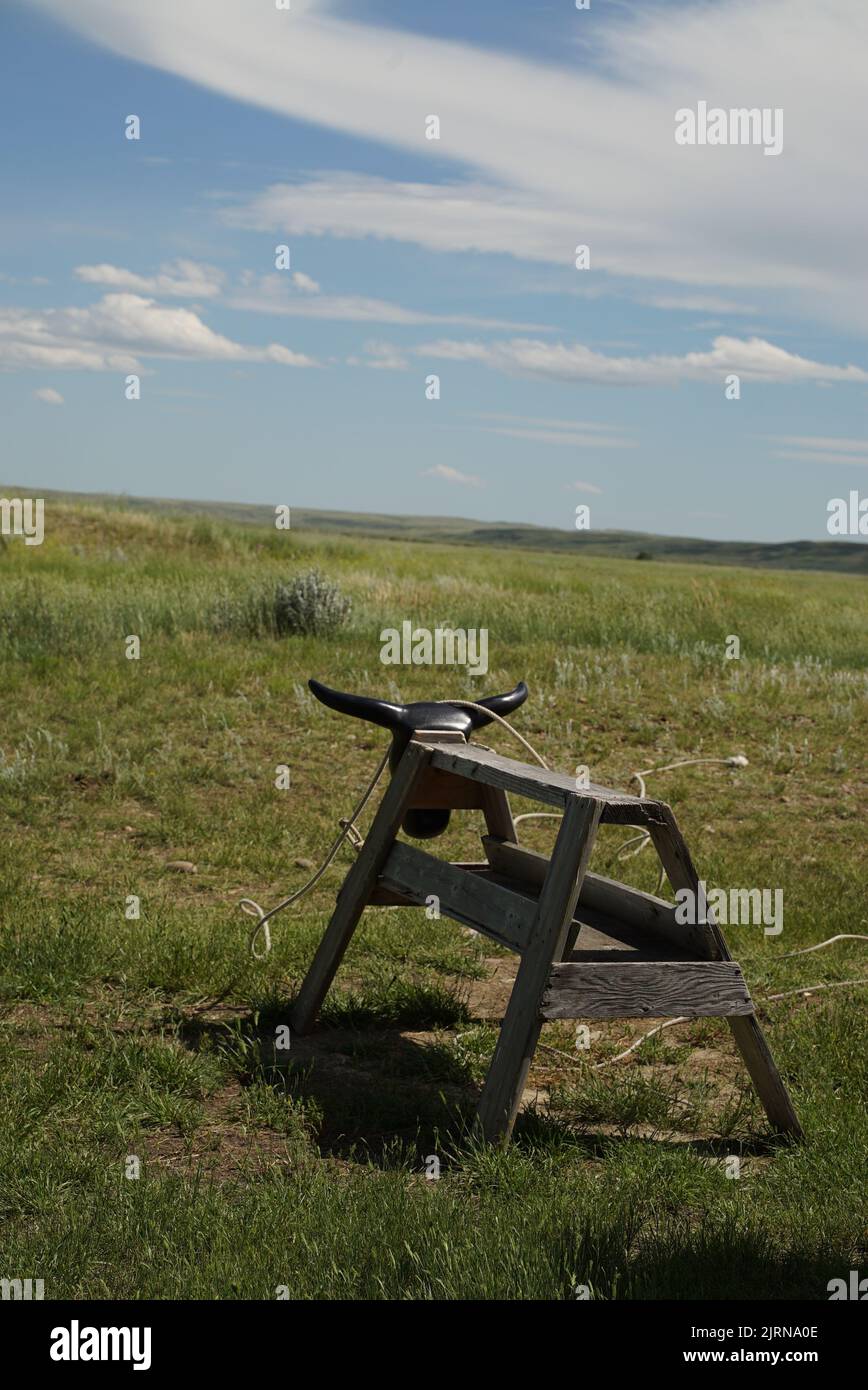 Eine vertikale Aufnahme eines Cowboys, der einen Pfosten mit einem dekorativen Stierkopf auf einem leeren Prärieparkgelände ansetzt Stockfoto