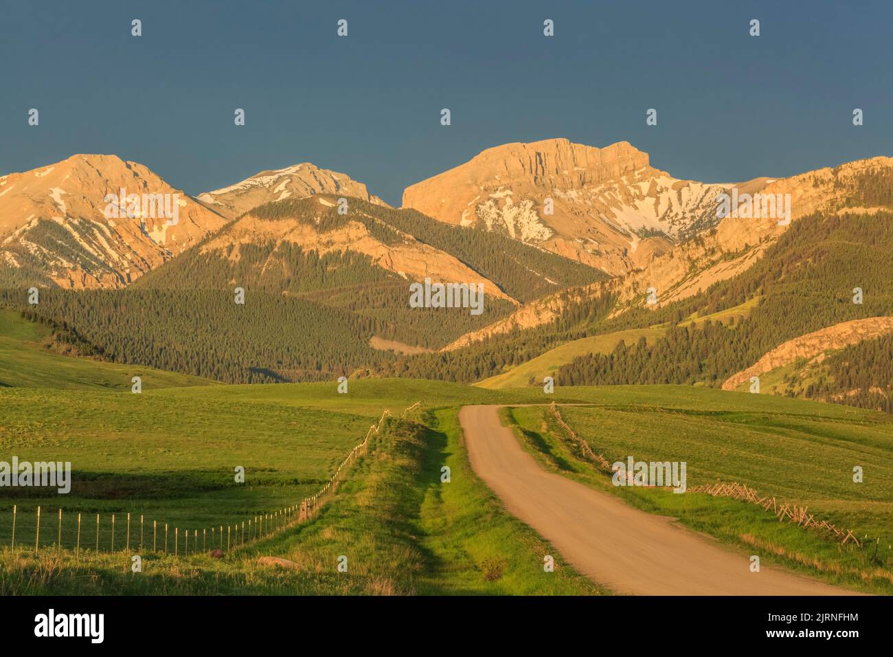 Morgen auf dem Weg zur Krone Berg entlang der Rocky Mountain Front in der Nähe von Augusta, Montana Stockfoto