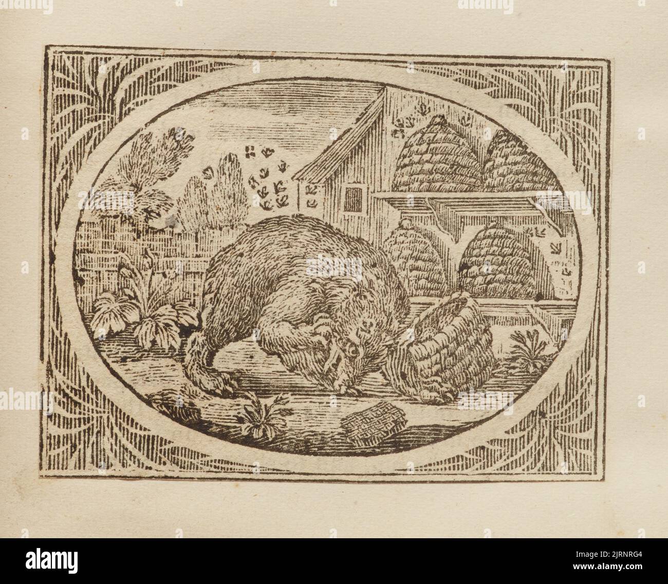 Holzstich, England, von Thomas Bewick. Stockfoto