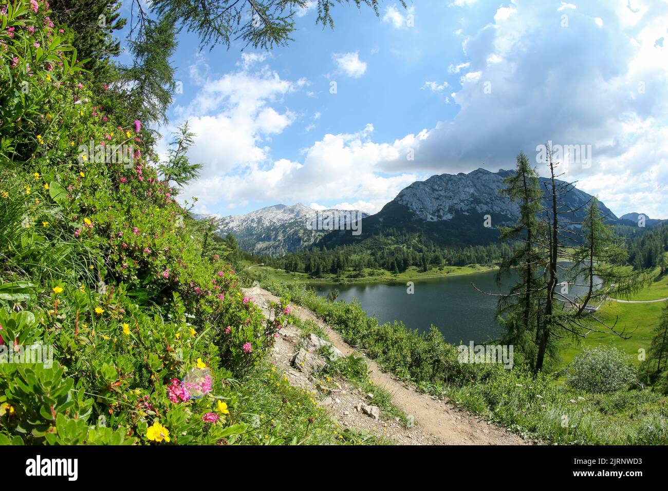 Das Bild von der schönen Natur in Österreich in der Tauplitzalm in den Alpen. Stockfoto