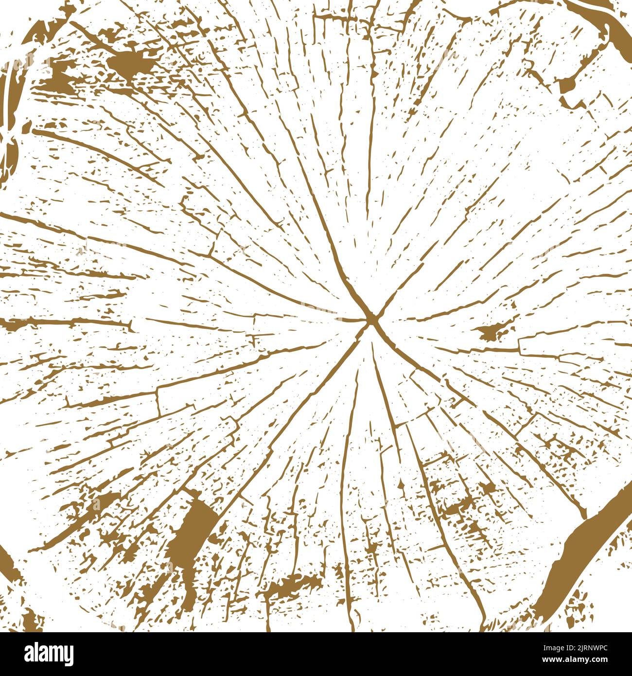 Baum Ringe Sägeschnitt Baumstamm Hintergrund. Vektor-Illustration. Stock Vektor