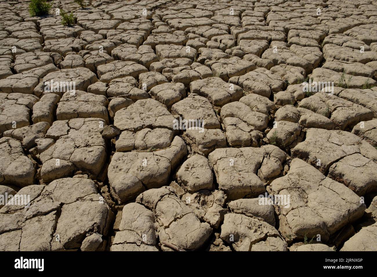 Trockenheit und sehr niedriger Wasserstand im Vinuela-Stausee in einer sehr trockenen Region von Axarquia, Malaga, Spanien Stockfoto