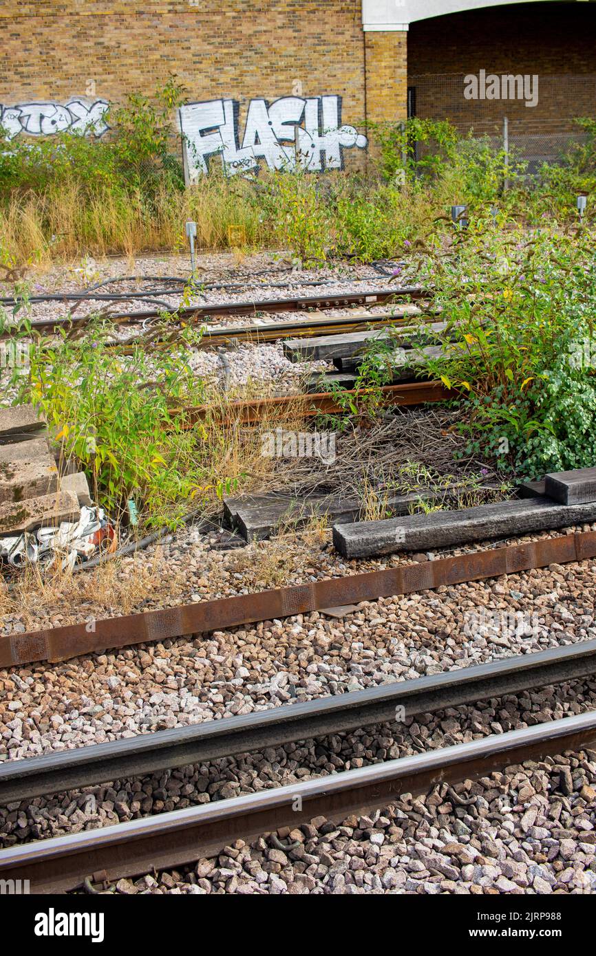 Wimbledon Rail Station, South-West London, UK; ausgediente Strecken überwuchert mit Gras und Unkraut und einem Graffito an der Wand Stockfoto