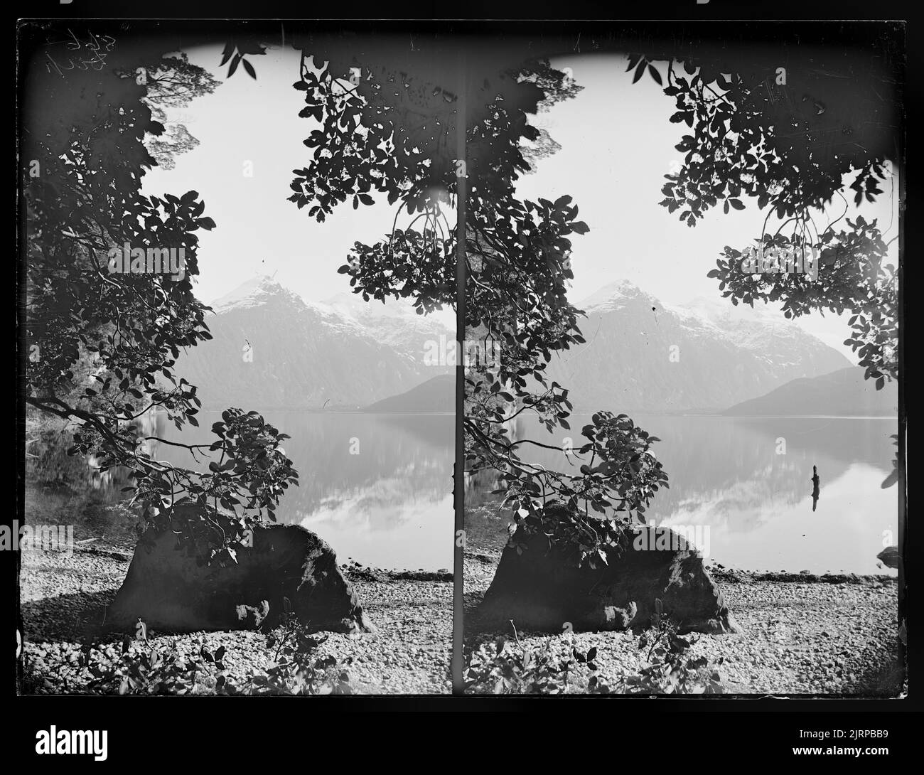 South West Arm, Middle Fiord, Te Anau, 1889, Dunedin, Von Burton Brothers, Alfred Burton. Stockfoto