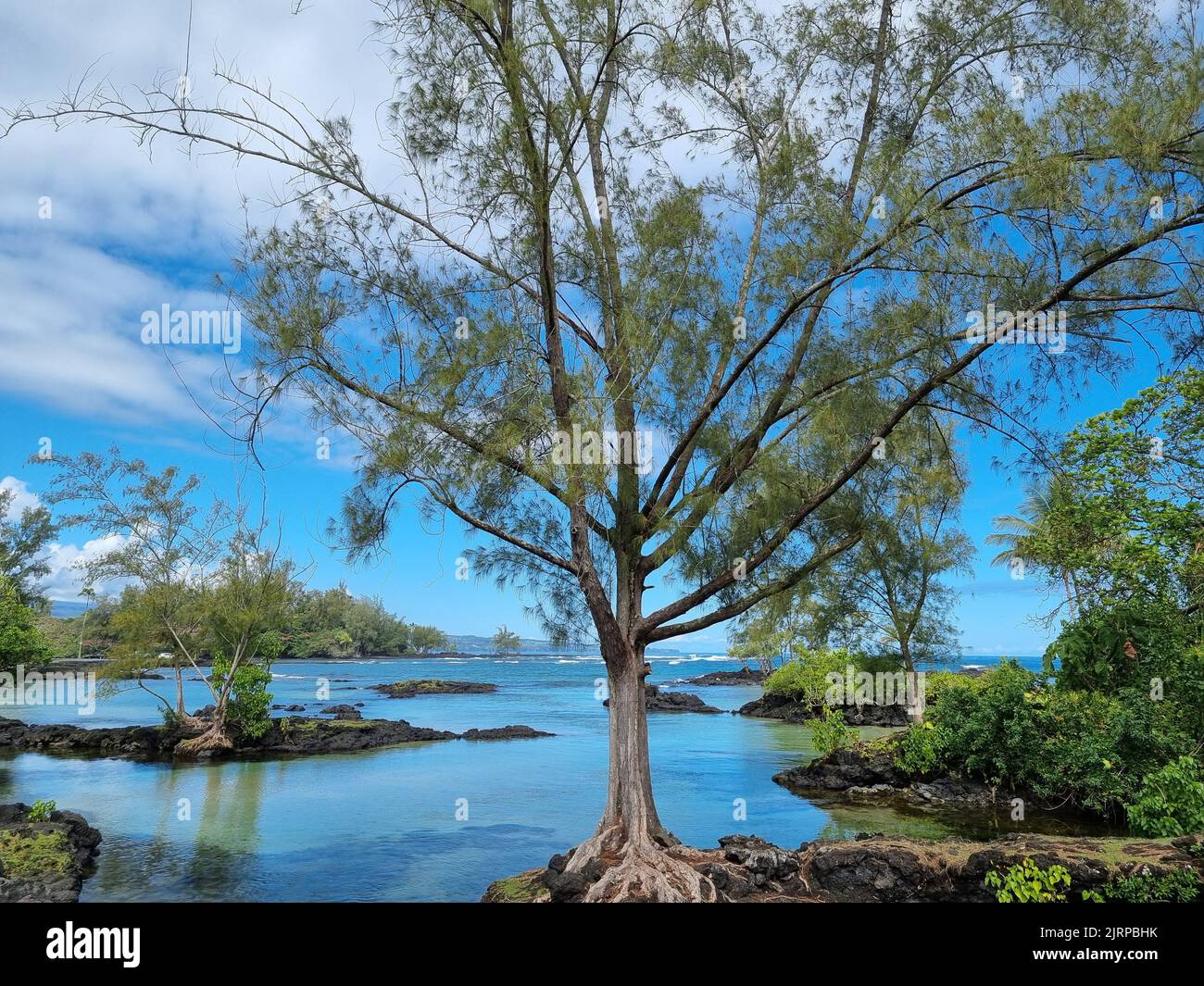 Atemberaubende Landschaften auf Big Island, Hawaii mit Blick auf Hawaii Stockfoto