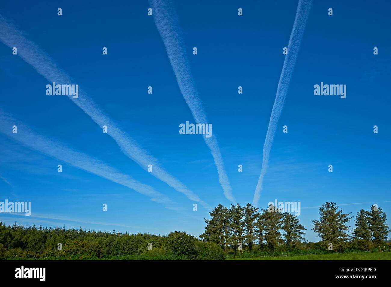 Dampfspuren transatlantischer Flugzeuge schaffen parallele Linien am Himmel über Listowel in der Grafschaft Kerry, Stockfoto