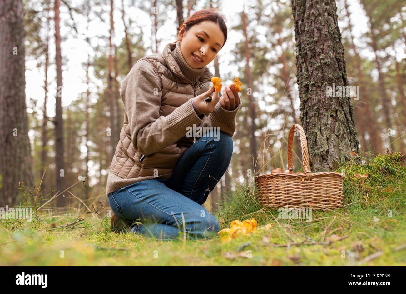 Junge Frau Pilze im Herbst Wald Stockfoto