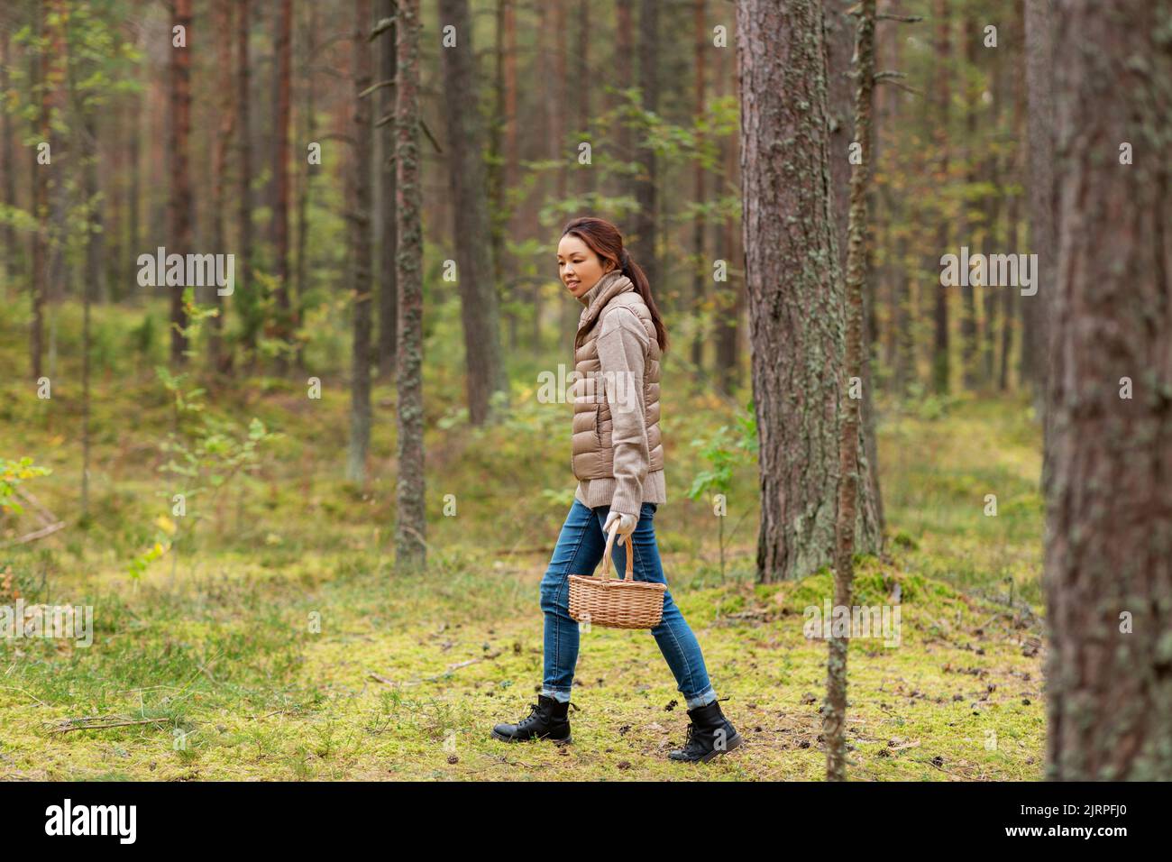 Junge Frau Pilze im Herbst Wald Stockfoto