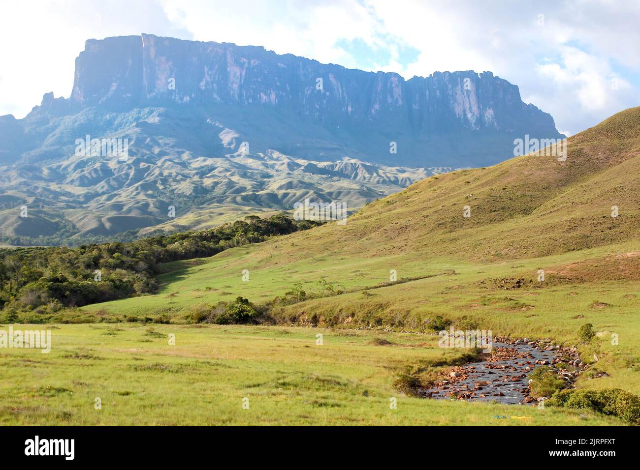 Mount Roraima, vor einem kleinen Bach, Venezuela und Brasilien Grenze Stockfoto