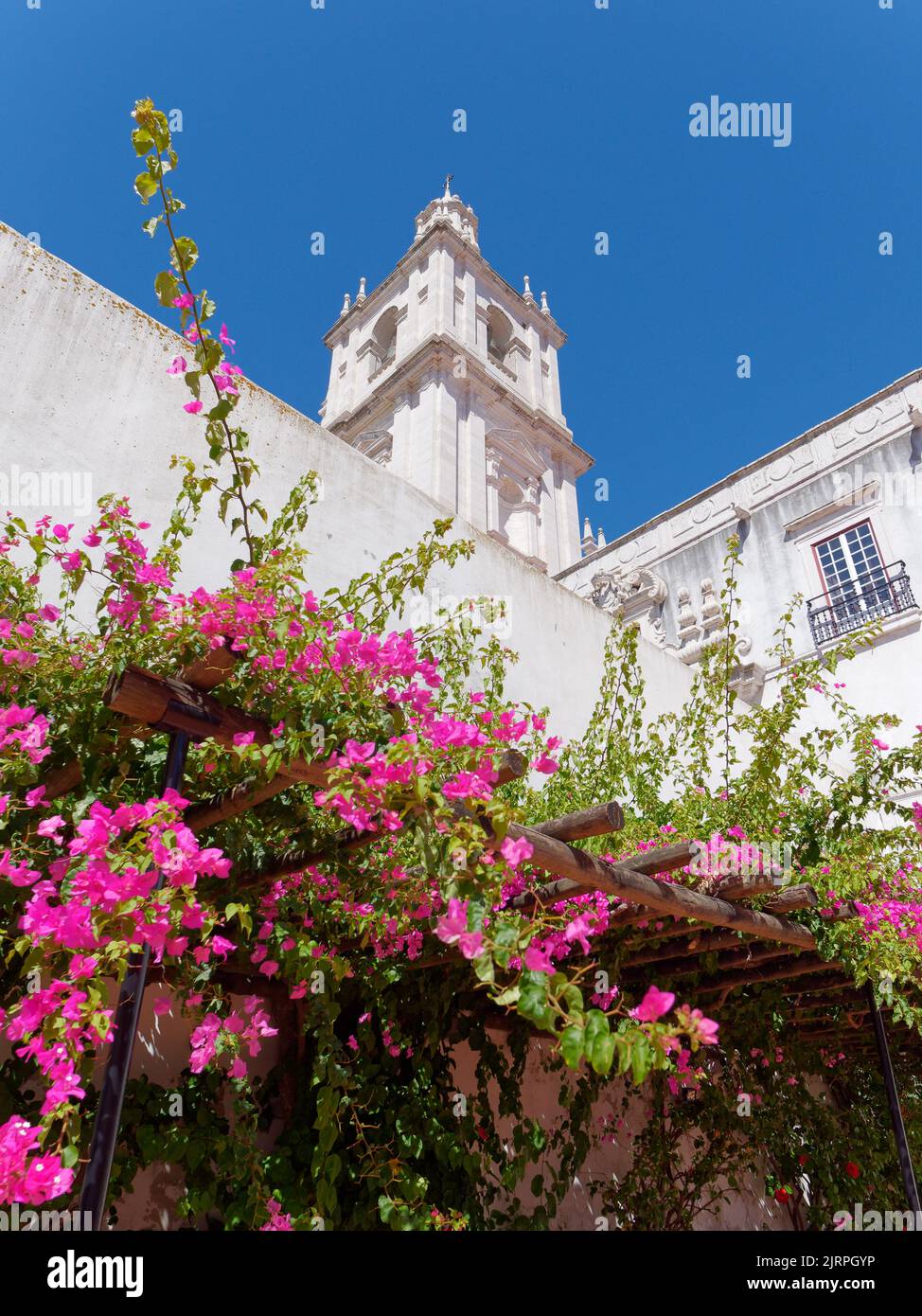 Blumen vor dem Kloster São Vicente de Fora (Kloster St. Vincent vor den Mauern) in Lissabon, Portugal. Stockfoto