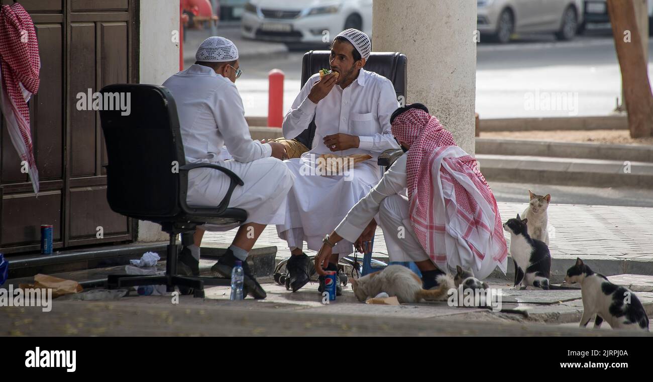 Drei Männer umgeben von Katzen Al Balad Jeddah Saudia Arabia Stockfoto