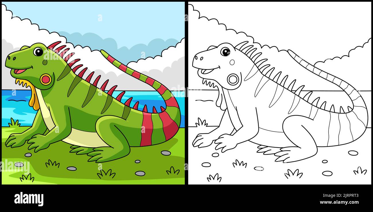 Iguana Tier Färbung Seite Farbige Illustration Stock Vektor