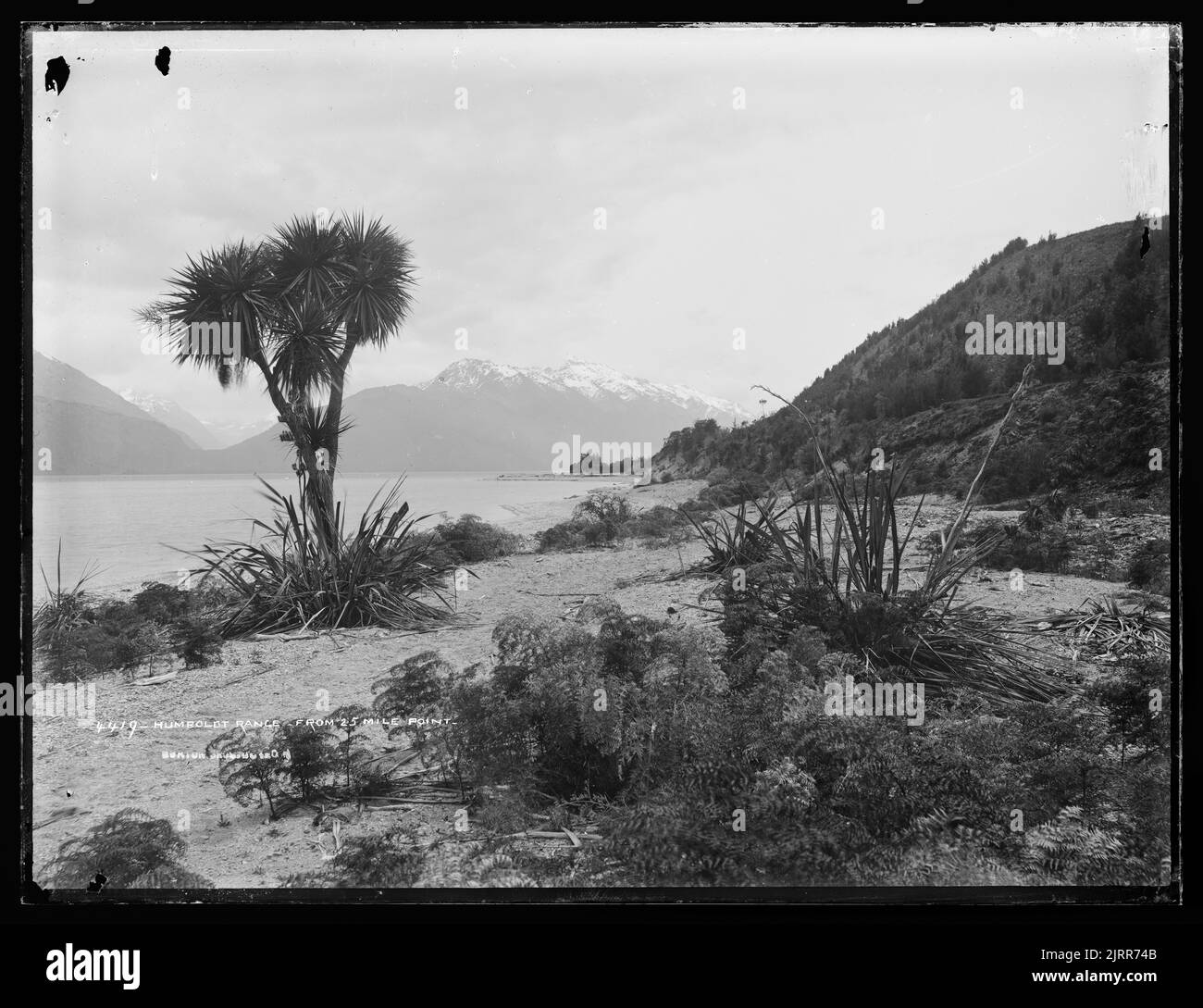 Humboldt Range, von 25 Mile Point, 1886, Dunedin, von Burton Brothers. Stockfoto