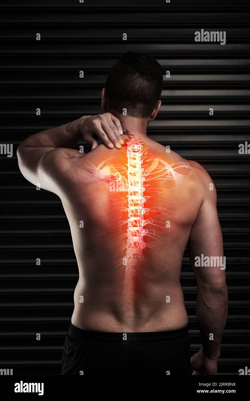Sein ganzer Rücken schmerzt. Rückansicht eines sportlichen jungen Mannes, der im Studio an einer Rückenverletzung leidet. Stockfoto