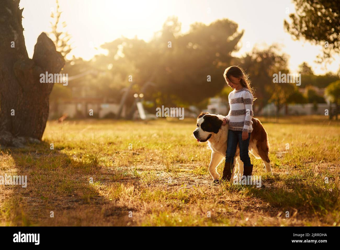 Hes ihren vierbeinigen Schatten. Ein nettes kleines Mädchen, das mit ihrem Hund durch einen Park läuft. Stockfoto