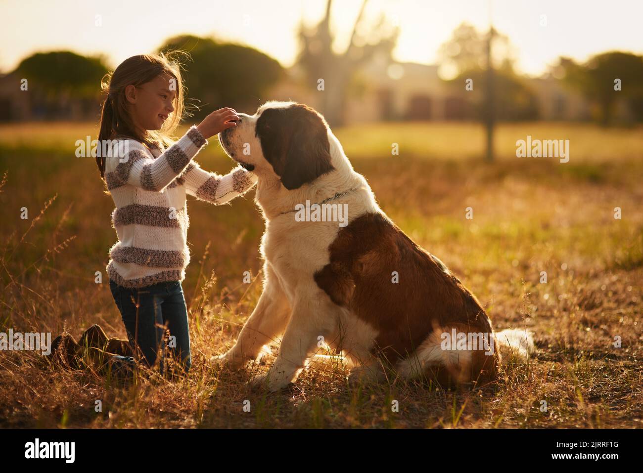 Jetzt bleiben. Ein nettes kleines Mädchen lehrt ihren Hund einen Trick, während sie draußen spielen. Stockfoto