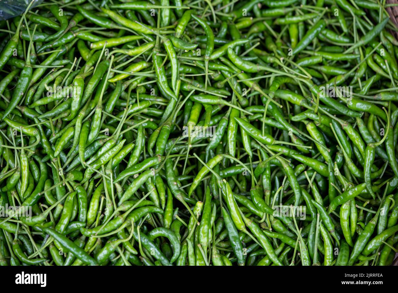 Grüner Chili Hintergrund würzt die würzige volle Flamme Stockfoto