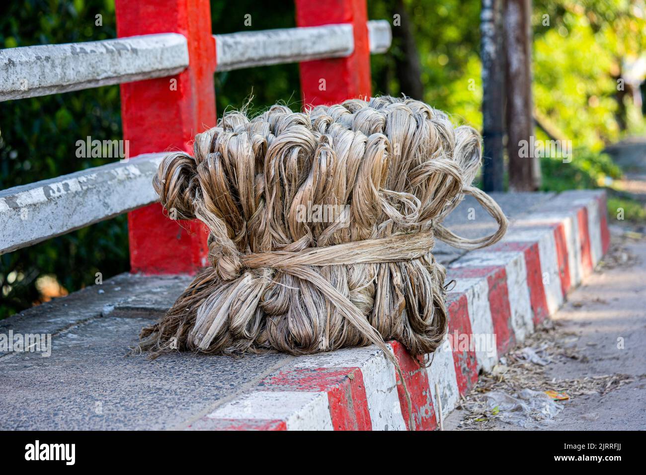 Jute Pflanzenfaser, Rohe Jute Faser hängen Stockfoto