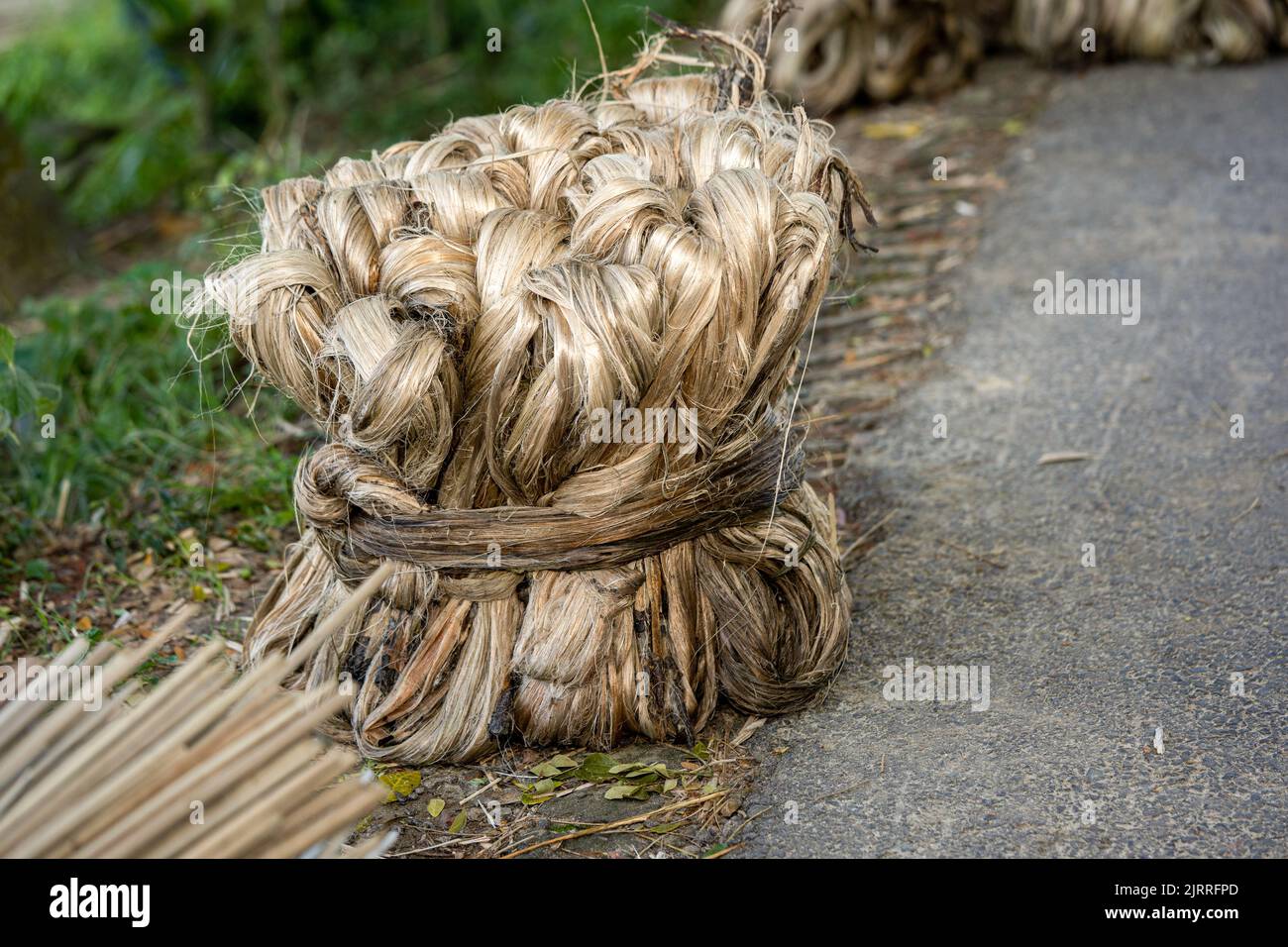 Jute Pflanzenfaser, Rohe Jute Faser hängen Stockfoto