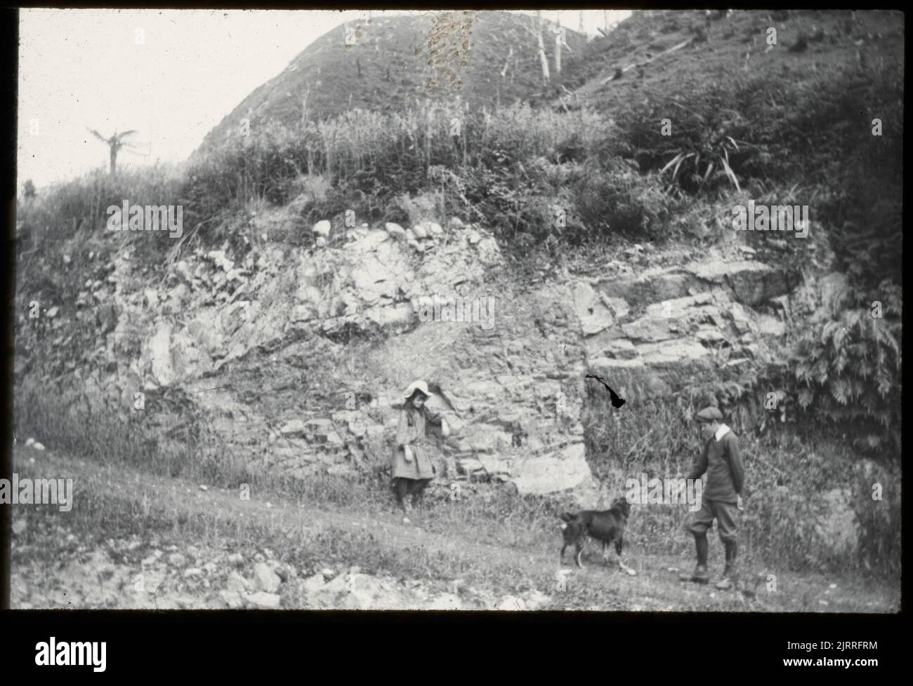 Kleiner Fehler im Ohau Valley, nahe Levin, mittleres Bett links ist Argillit, 08. Januar 1906, North Island, von Leslie Adkin. Geschenk der Adkin-Familie, 1997. Stockfoto