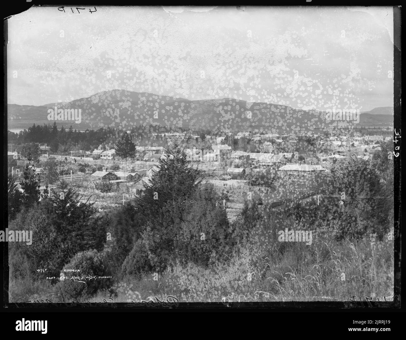 Rotorua, um 1905, Neuseeland, von Muir & Moodie. Stockfoto