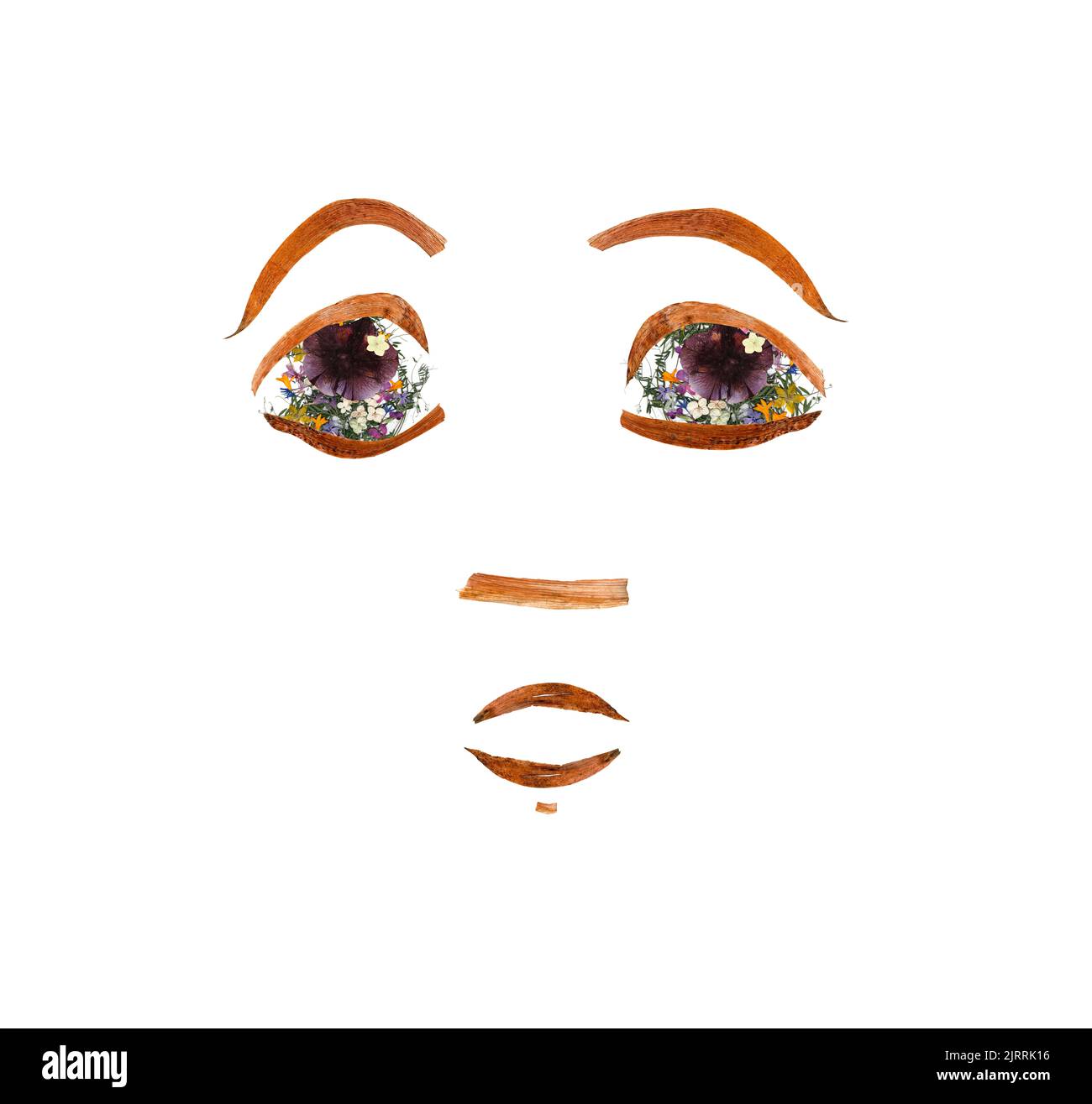 Anwendung, Gesicht aus getrockneten Pressen helle Blüten und kleine zarte Erbsen, gelbe Celandine, mehrfarbige königliche Aquilegia, Columbine lang Stockfoto