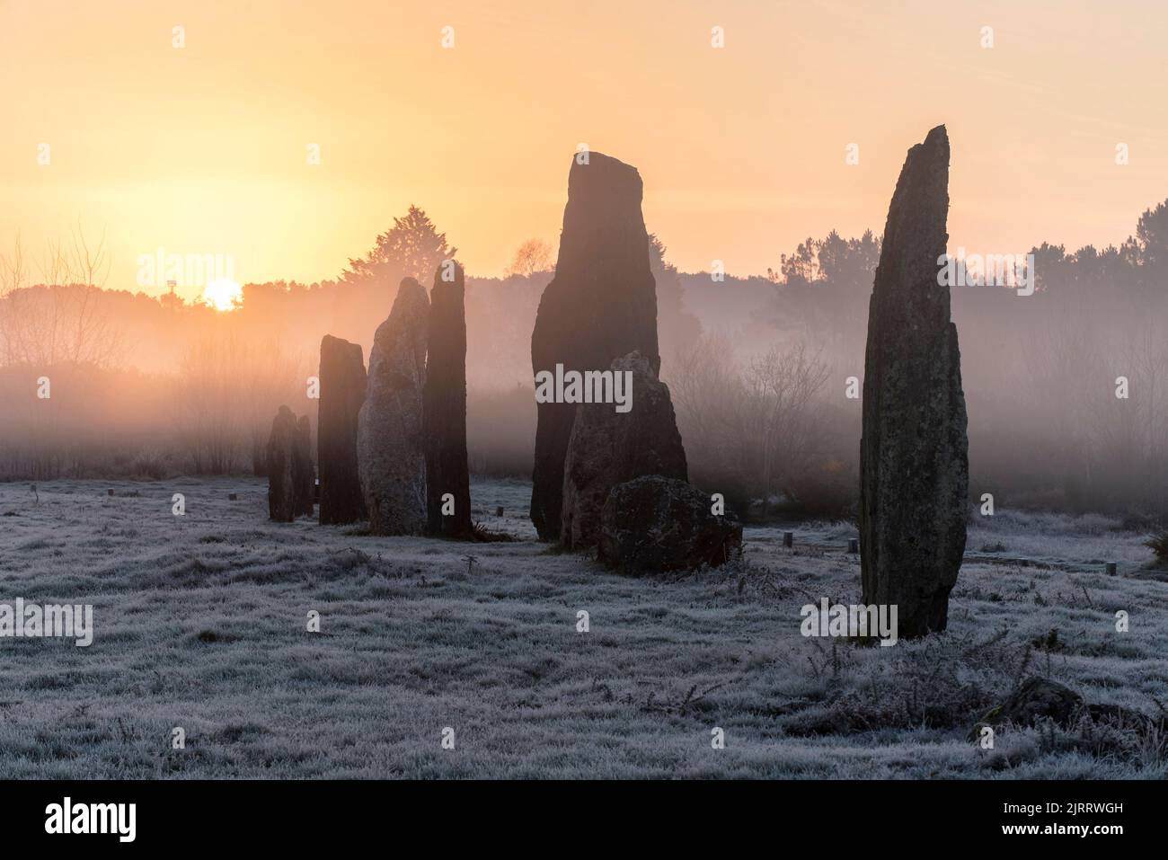 Megalithanlage von Saint-Just (Bretagne, Nordwestfrankreich) unter dem Winternebel. Megaliths durch die Mooren von Cojoux und Sonnenaufgang über der Tribüne Stockfoto