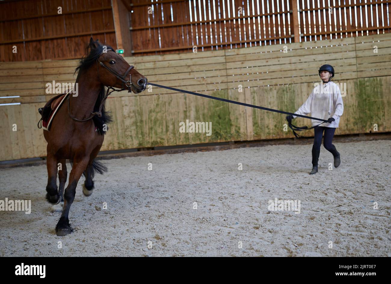 Das Reitzentrum von Mancy gehört zur Landwirtschaftsschule von Mancy. Reiten: Junges Mädchen, das mit einem Pferd trainiert, Studentin der Landwirtschaft Stockfoto