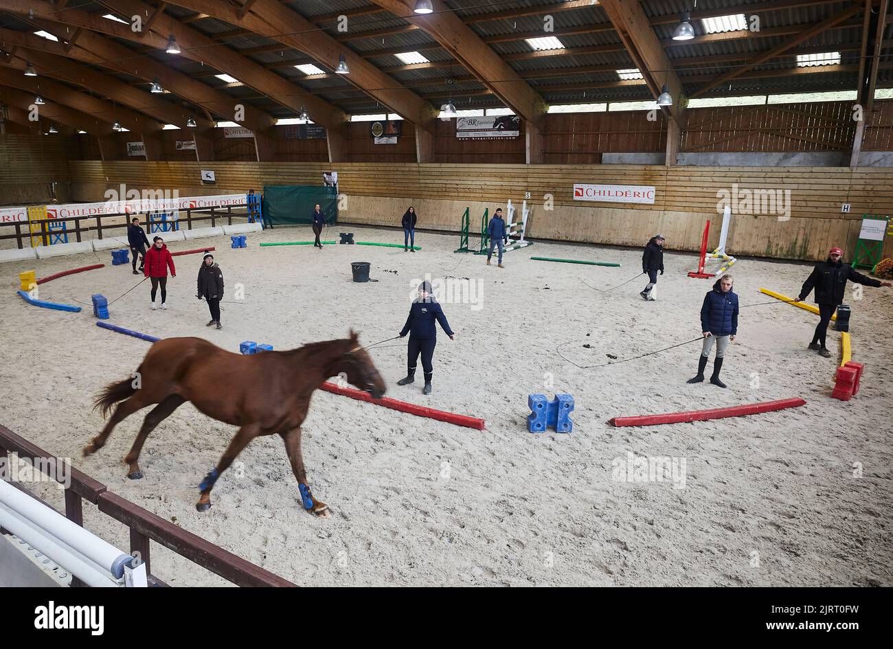 Lons-le-Saunier (Mittelostfrankreich), 12. November 2021: Veranstaltung „Equilons“, einvernehmlicher Verkauf mit Pferden und Ponys im Reitzentrum an Stockfoto