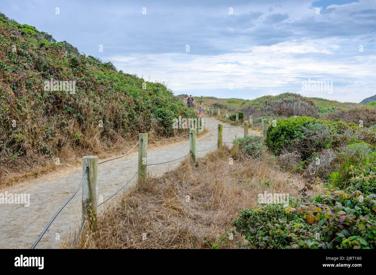 Ein gewundener Pfad, der zum Muir Beach in Marin County, Kalifornien, USA führt, wird von einem Zaun unter einem wolkigen Himmel gesäumt. Stockfoto