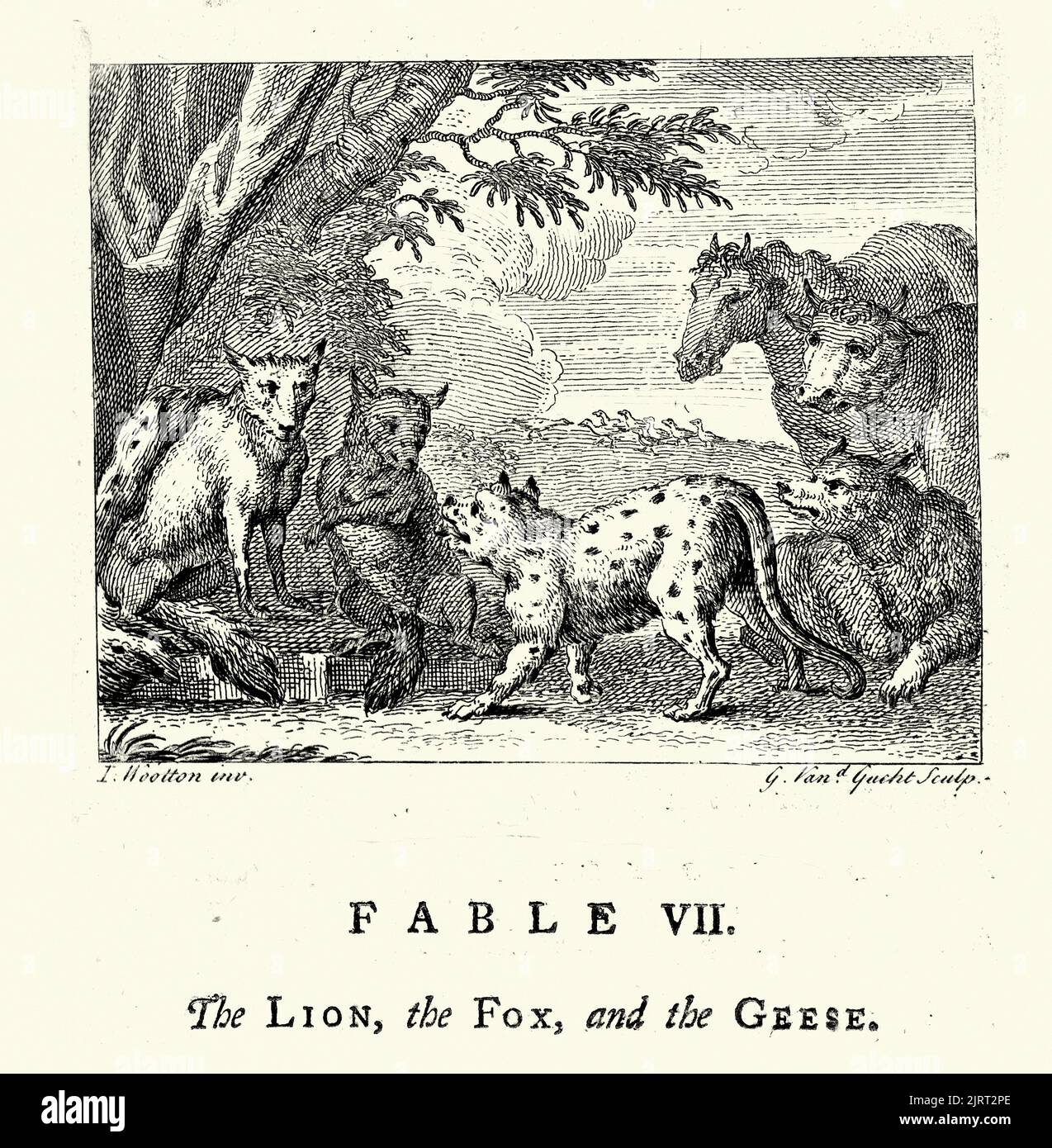 Vintage Gravur der Löwe, der Fuchs und die Gänse, aus den Fabeln von John Gay 18. Jahrhundert Stockfoto