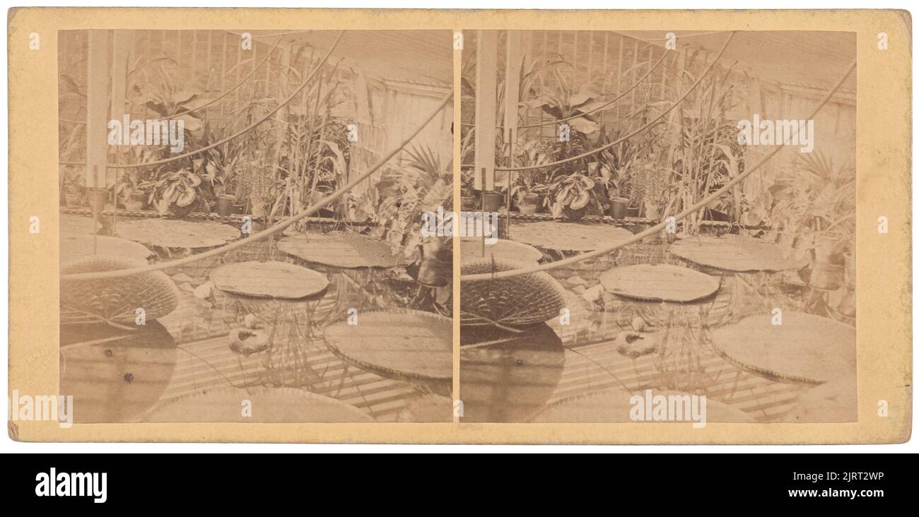 Wasserblick, .... Palace Gardens, 1880s, Edinburgh, Hersteller unbekannt. Stockfoto