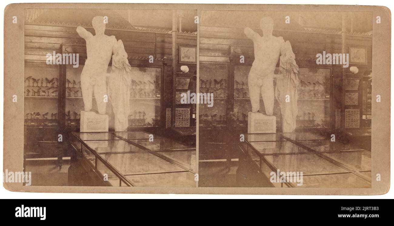 Colonial Museum, Wellington, 1880s, Dunedin, von Burton Brothers. Stockfoto