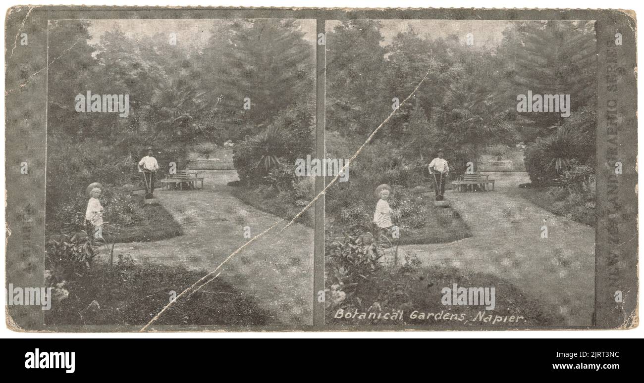 Botanischer Garten, Napier, 1880s, Napier, von A Herrick. Stockfoto