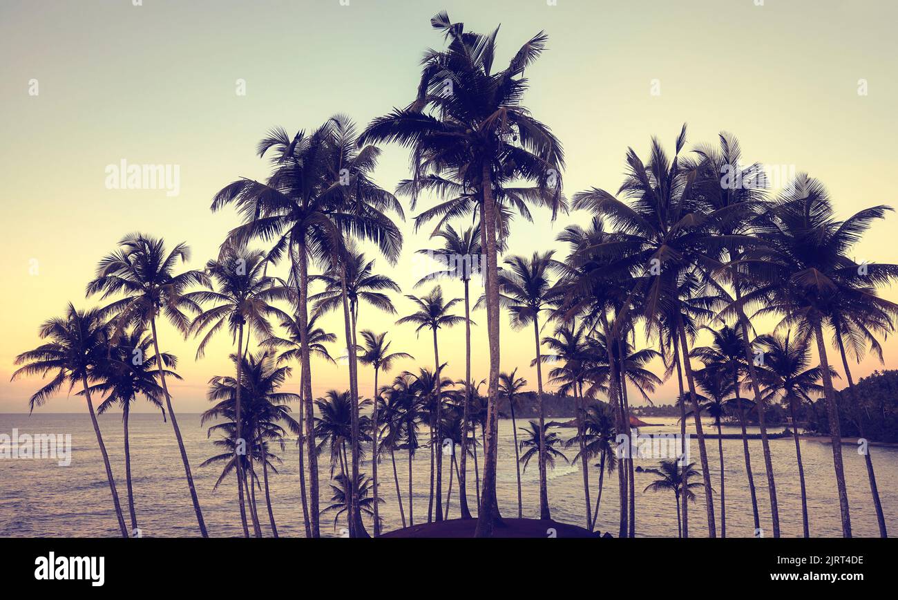 Tropische Insel mit Kokospalmen Silhouetten bei Sonnenuntergang, Farbtonung aufgetragen. Stockfoto