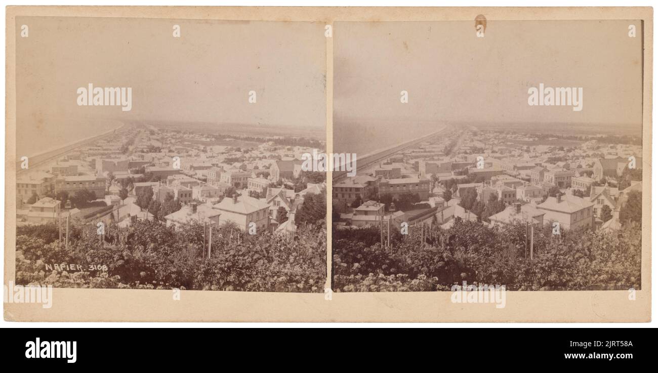 Napier, um 1890, Napier, von Burton Brothers, Muir & Moodie. Stockfoto