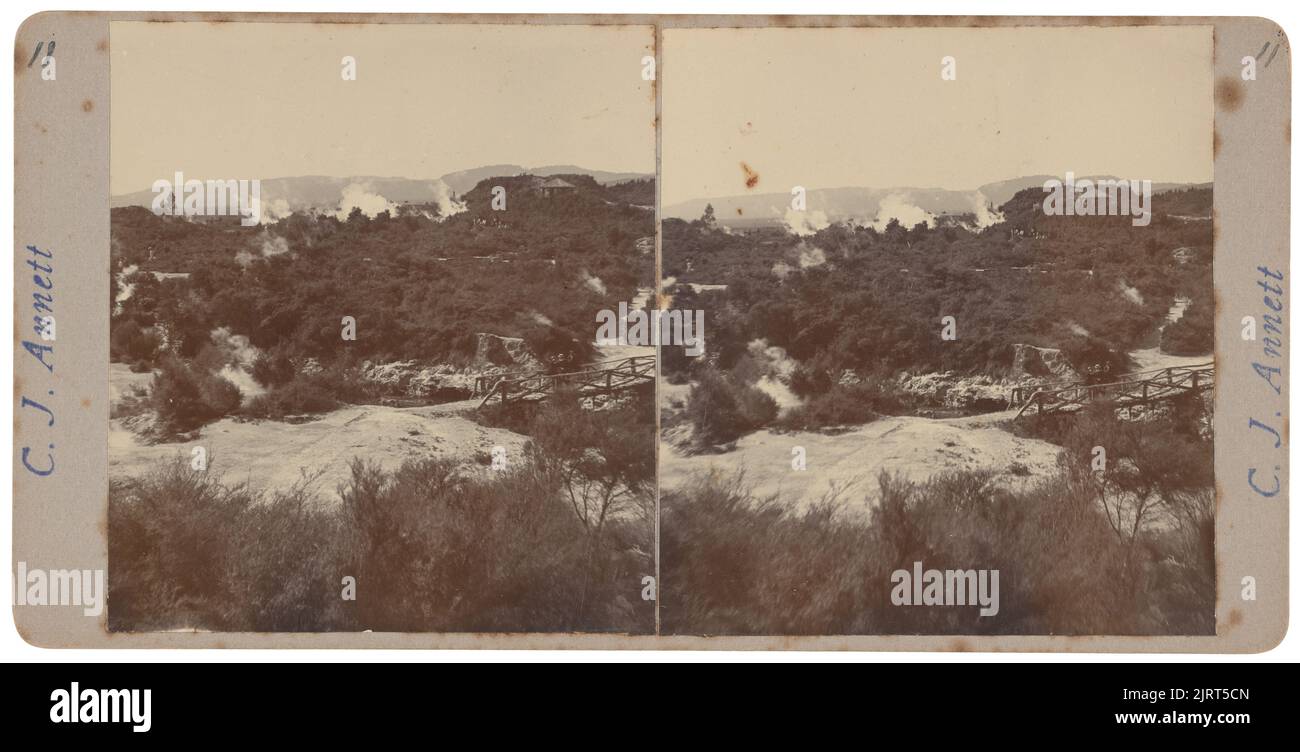 Formelle Gärten, um 1880-1900, Neuseeland, von Charles James Annett. Stockfoto