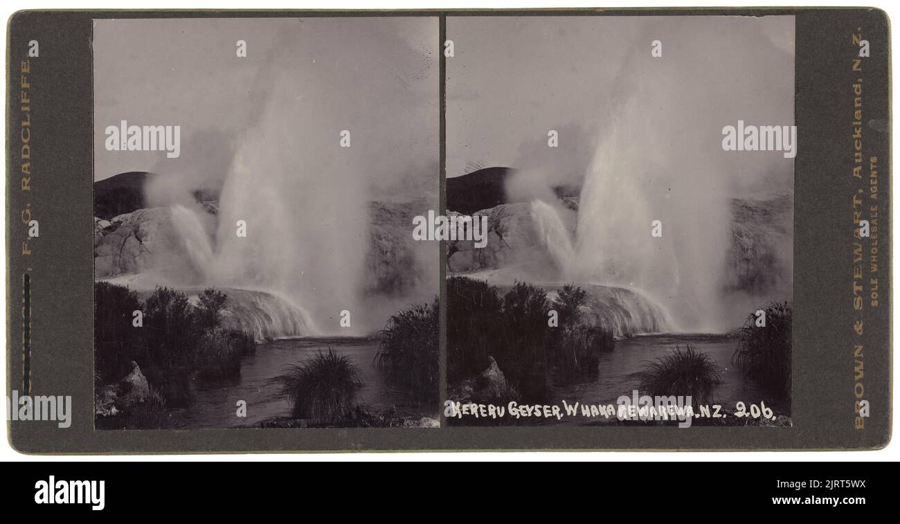 Kereru Geyser, Whakarewarewa, NZ, um 1900, Auckland, Von Frederick George Radcliffe, Brown & Stewart. Stockfoto