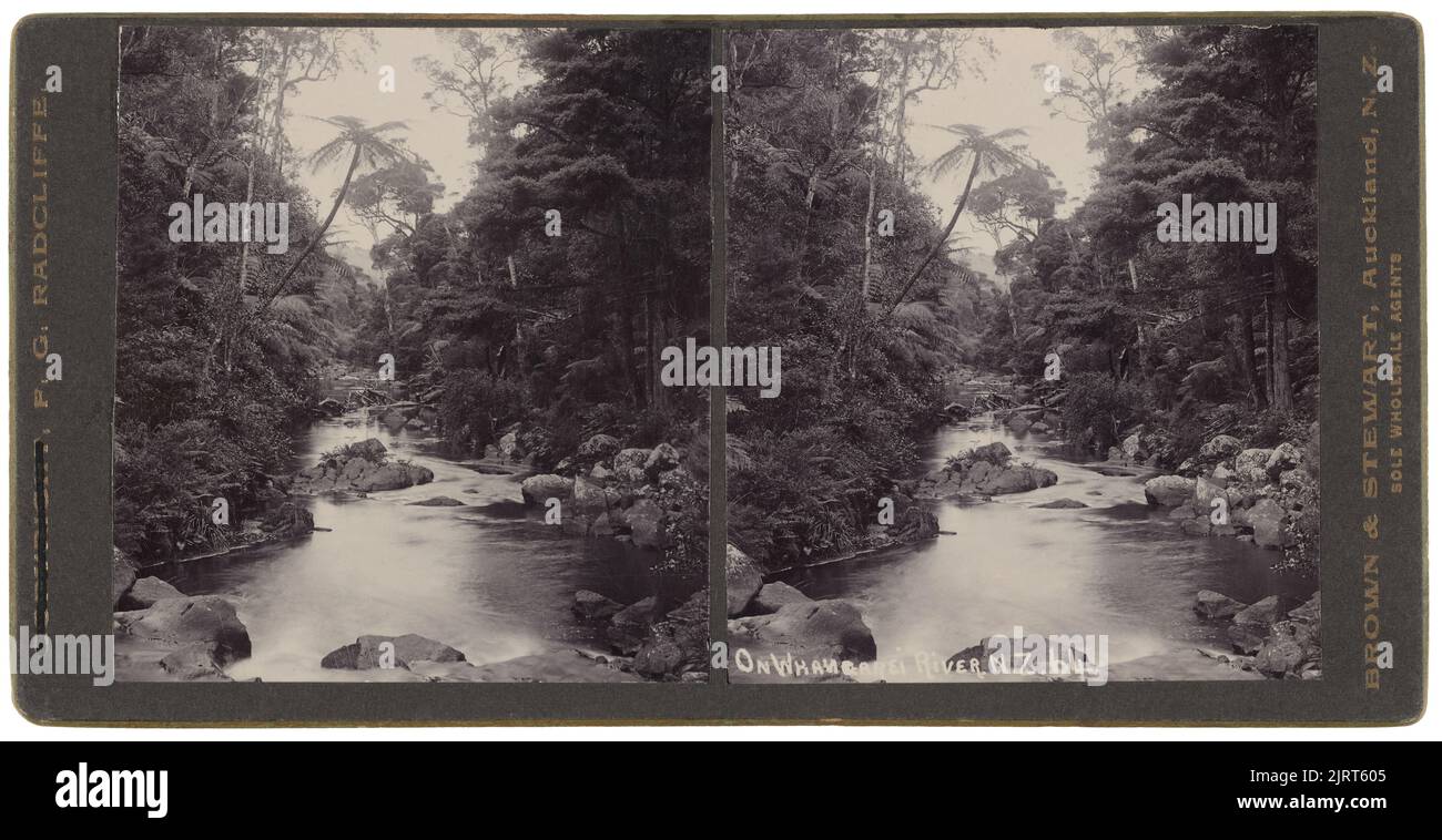Am Whangarei River, NZ, um 1900, Auckland, von Frederick George Radcliffe, Brown & Stewart. Stockfoto