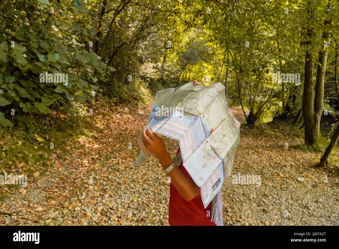 Frau unter einer Karte im Herbst mitten im Wald Stockfoto