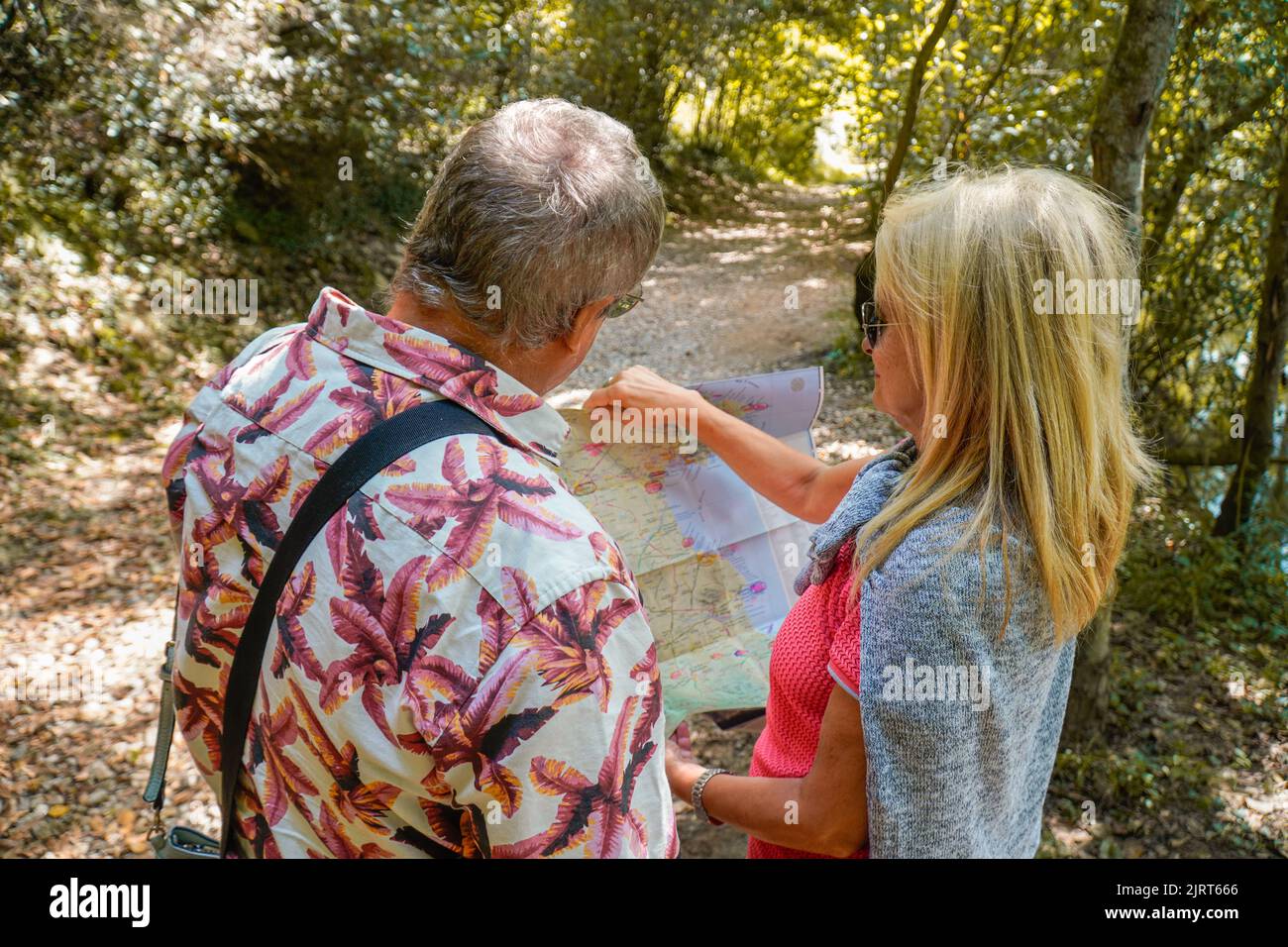 Verlorenes Paar, das sich eine Karte in der Natur anschaut Stockfoto