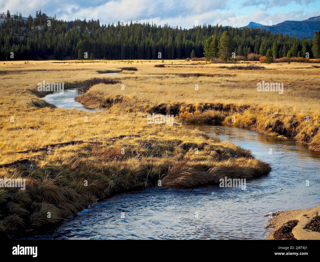 Ein kleiner Bach im Yosemite Valley durch trockenes Gras Stockfoto