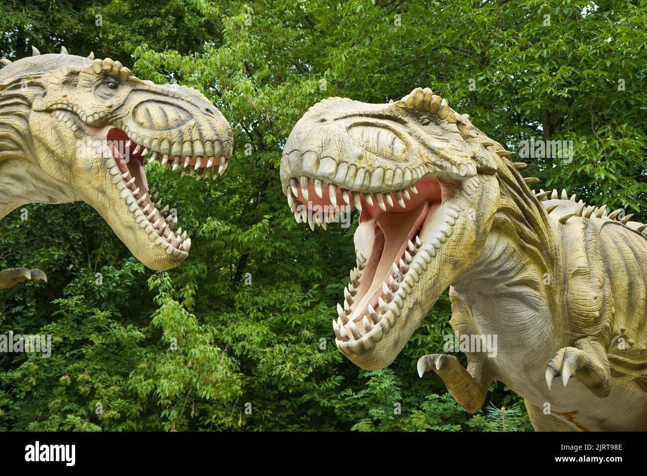 Tyrannosaurus rex im beliebten Dino Park, ZOO Vyskov. Grüner Hintergrund HD. Hintergrund 4K. Illustrative redaktionelle Inhalte - Dinosaurier-Thema. Stockfoto