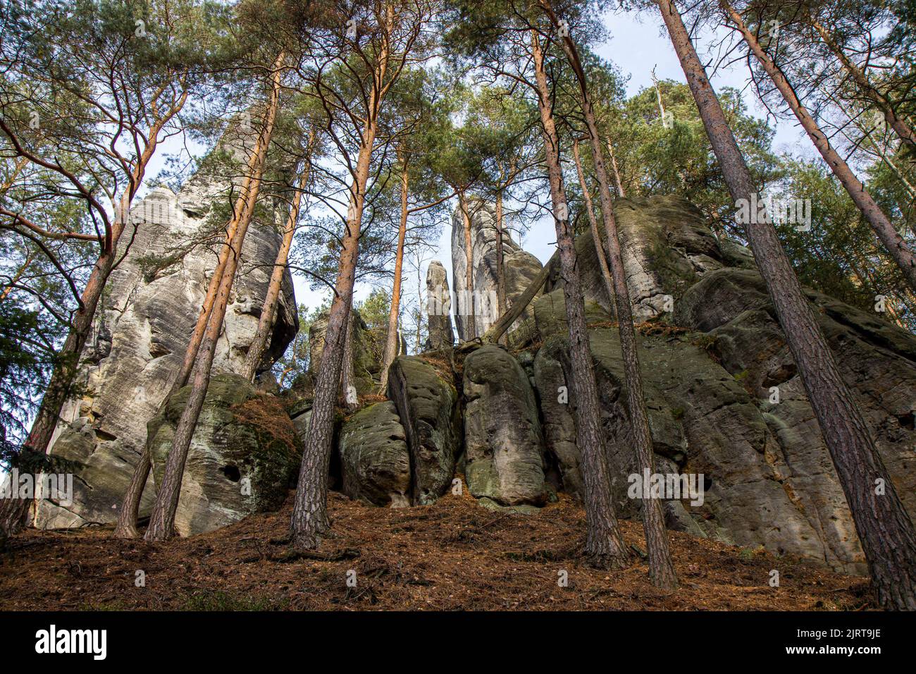 Adrspach Teplice Felsen Nationalpark, Tschechische Republik (Weg zum Cross Hügel). Adrspassko - teplicke skaly. Grüner Hintergrund HD. Hintergrund 4K. Stockfoto