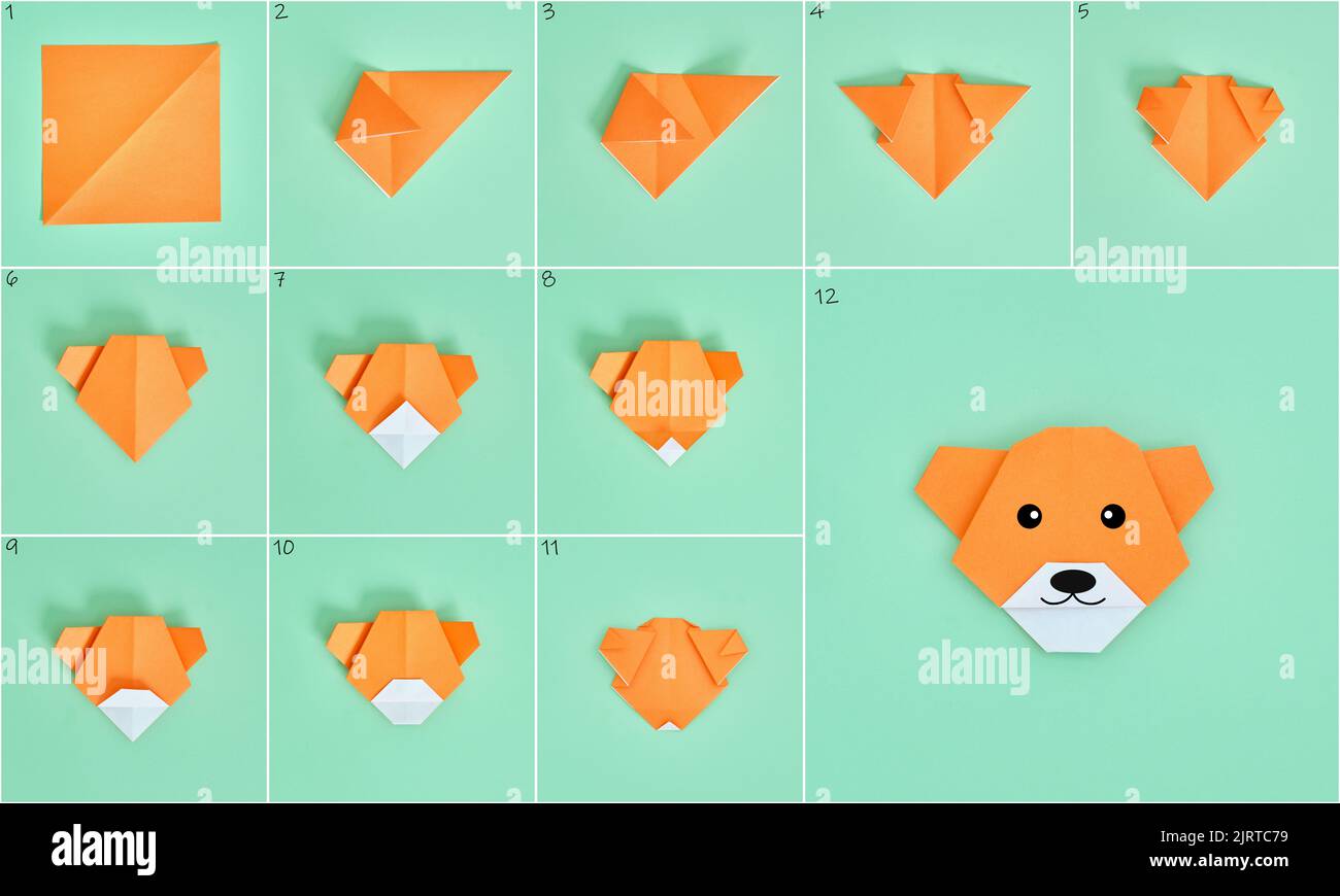 Origami-Bär. Schritt-für-Schritt-Fotoanleitung auf grünem Hintergrund. DIY-Konzept. Stockfoto