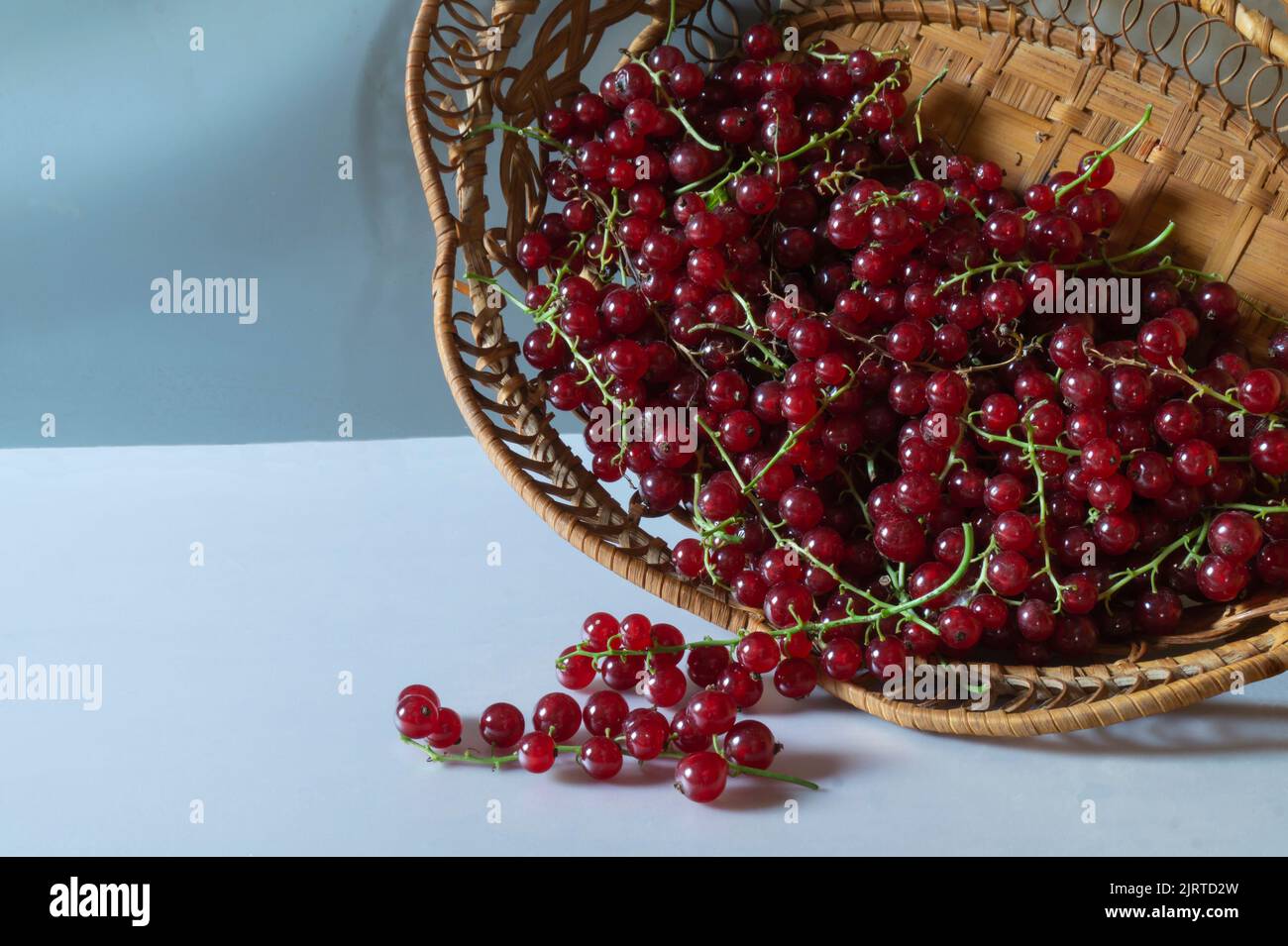 Sommerernte der roten Beeren. Reife Früchte auf hellem Hintergrund. Natürliche Lebensmittel Stockfoto