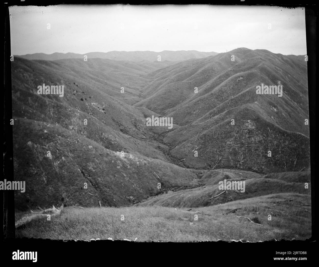 Levin HP Water Supply (Nummer 2), North Island, von Leslie Adkin. Stockfoto