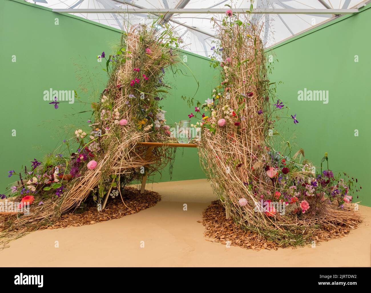 Eine Blumenausstellung im Blumenzelt auf der Chelsea Flower Show 2022, London. VEREINIGTES KÖNIGREICH. Stockfoto