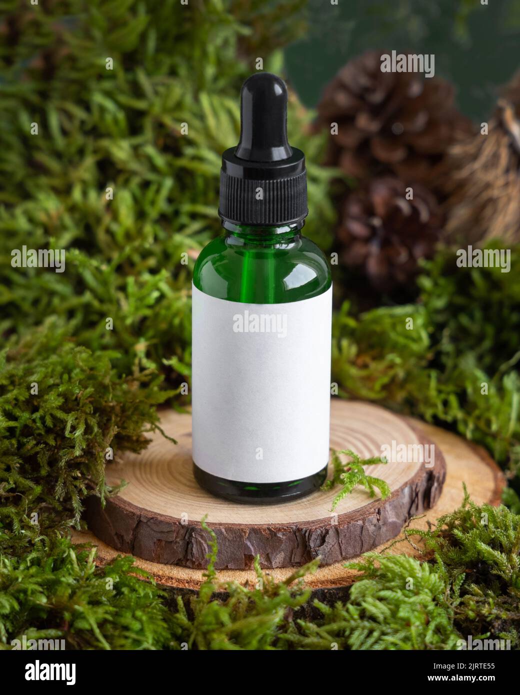 Grüne Glas Tropfflasche mit leerem Etikett auf Holzstück zwischen grünem Moos, Nahaufnahme, Mockup. Hautpflege Beauty-Produkt-Paket. Natürliche Bio-Cos Stockfoto